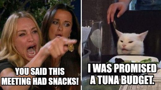 Angry lady cat meme