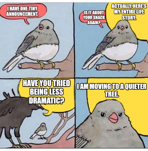 annoyed bird meme