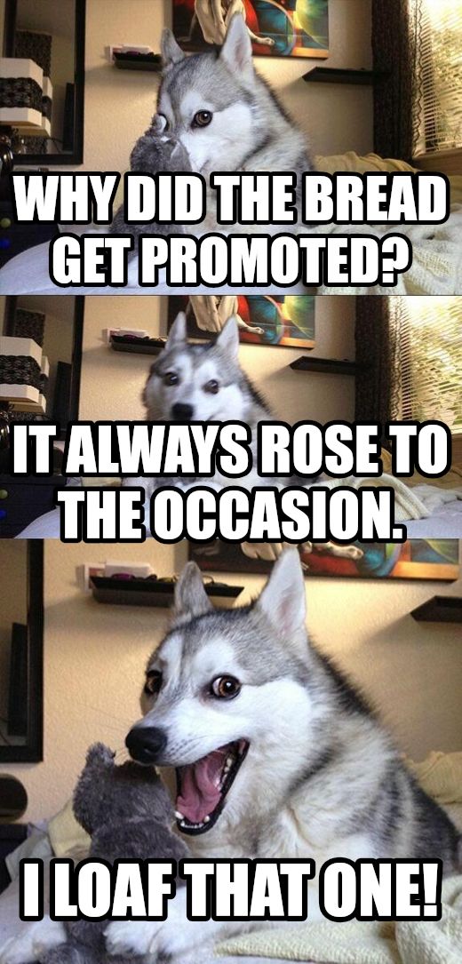 Bad Pun Dog meme