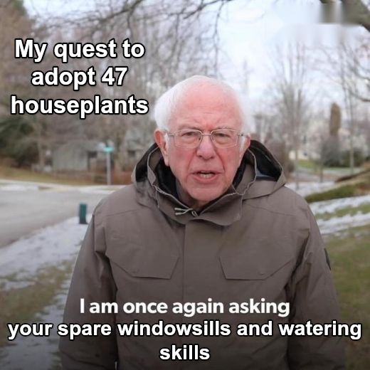 Bernie I Am Once Again Asking For Your Support meme