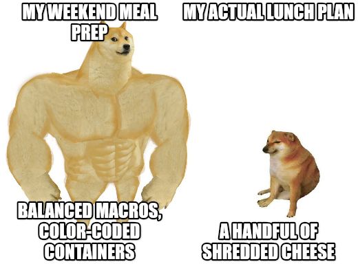 Big dog small dog meme