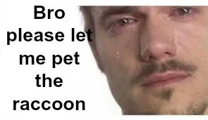 Bro Please Bro meme