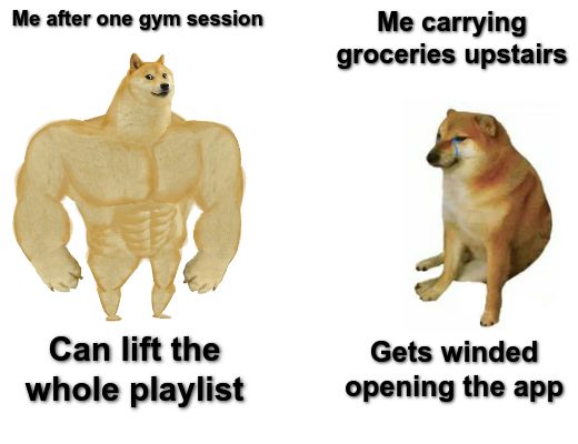 Buff Doge vs. Cheems meme