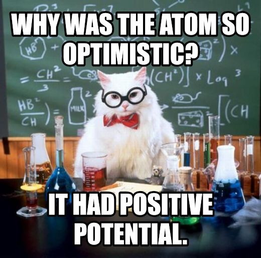 Chemistry Cat meme