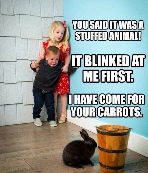 Children scared of rabbit meme