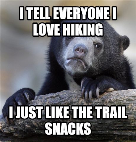 Confession Bear meme