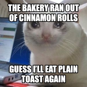 Crying cat meme