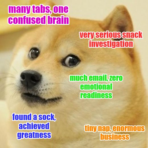 Doge meme