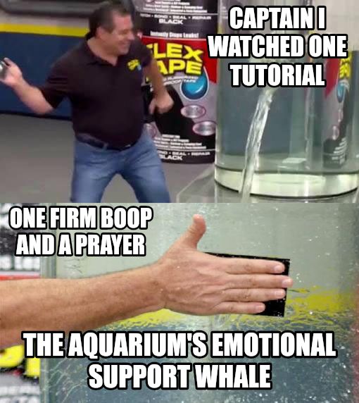 Flex Tape meme