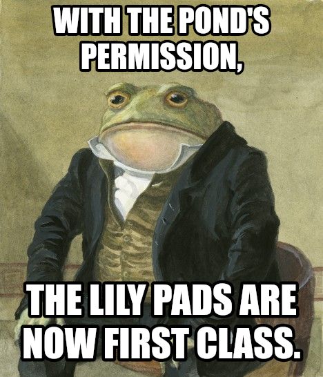 Gentleman frog meme