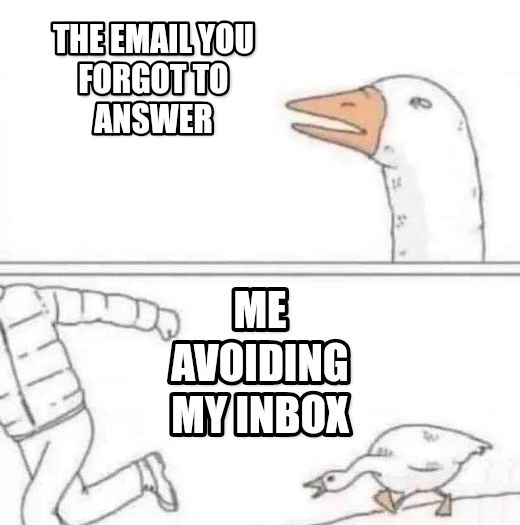 Goose Chase meme
