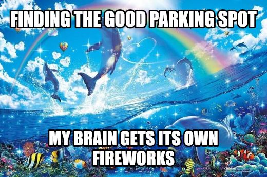 Happy dolphin rainbow meme