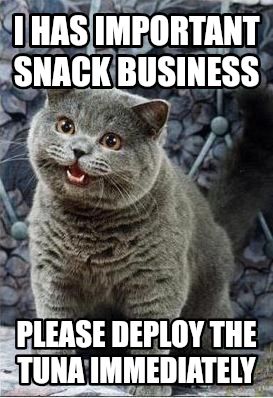 I can has cheezburger cat meme