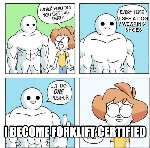 I do ONE Push-Up meme