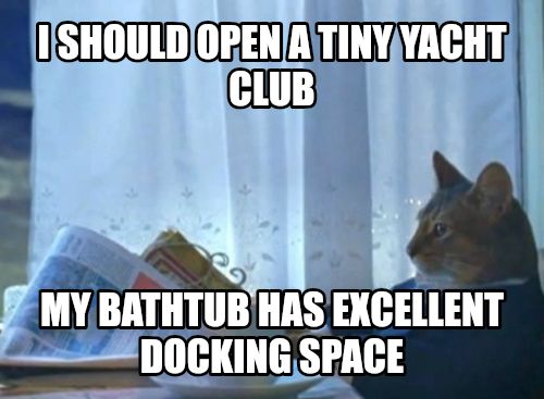 I Should Buy A Boat Cat meme