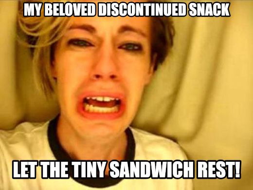 Leave Britney Alone meme