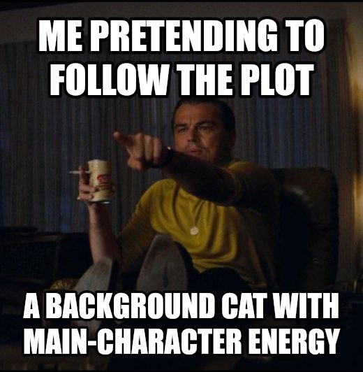 Leonardo DiCaprio Pointing meme