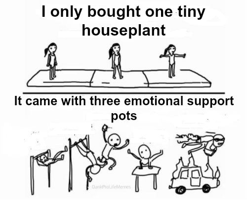 Mental Gymnastics meme