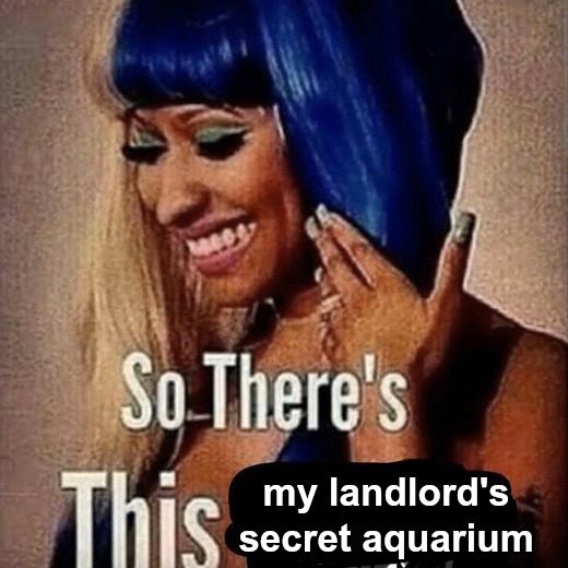 Nicki Minaj “So there’s this...” meme