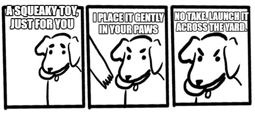 No Take, Only Throw meme