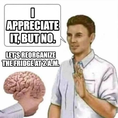 No thanks brain meme