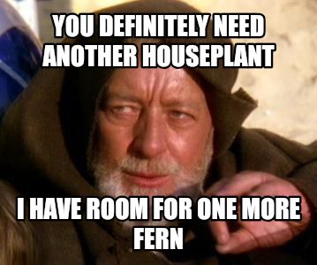 Obi Wan Kenobi Jedi Mind Trick meme
