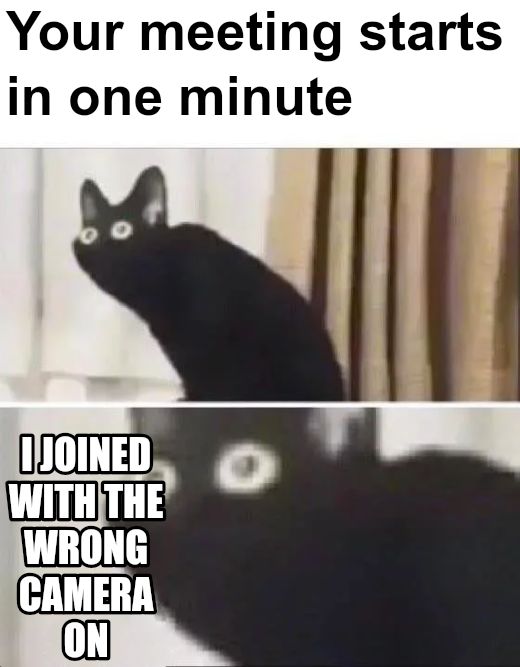 Oh No Black Cat meme