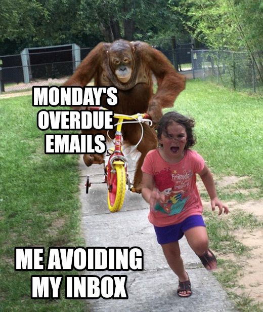 Orangutan chasing girl on a tricycle meme