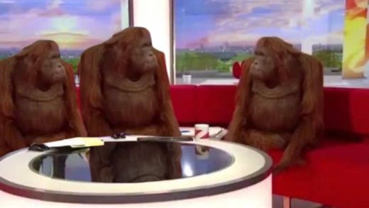 orangutan interview meme