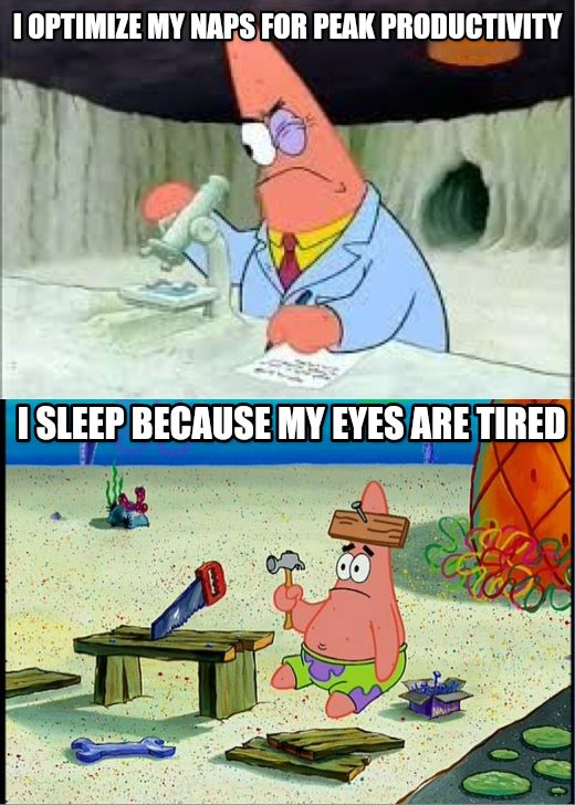 PAtrick, Smart Dumb meme