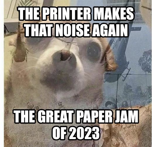 PTSD Chihuahua meme