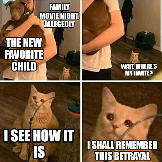 Sad Cat Holding Dog meme