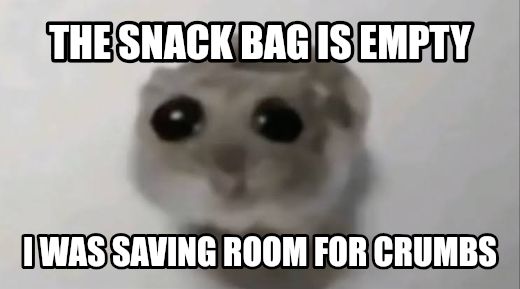 Sad Hamster meme