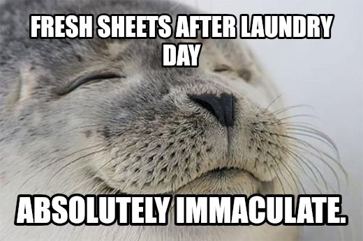 Satisfied Seal meme