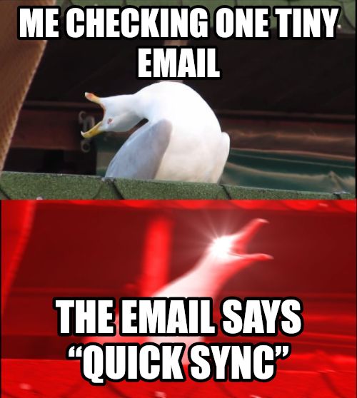screaming seagull meme