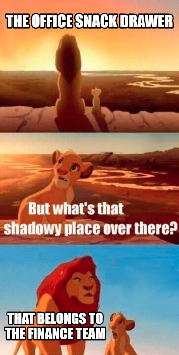 Simba Shadowy Place meme