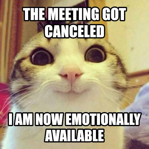 Smiling Cat meme