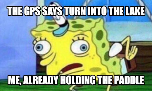 spongebob stupid meme