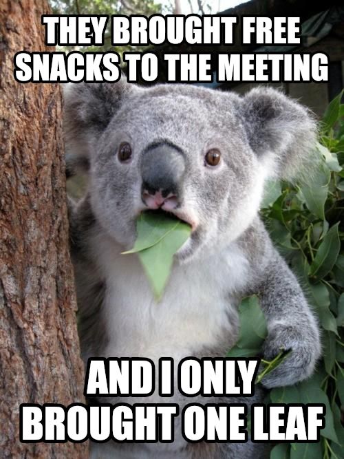 Surprised Koala meme
