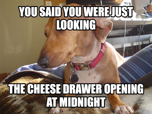 Suspicious Dog meme