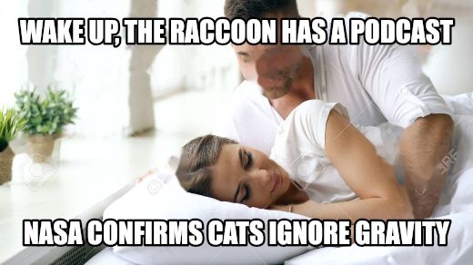 Wake Up Babe meme