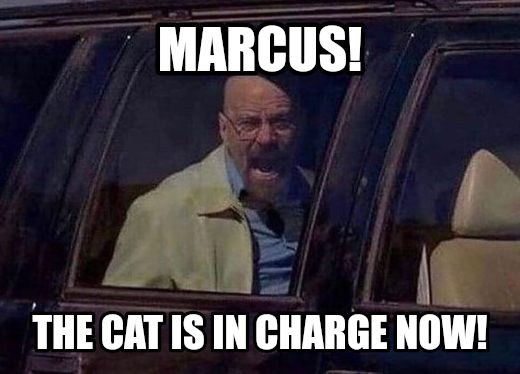 Walter White Screaming At Hank meme