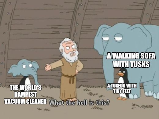What the hell is this? meme
