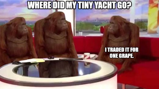 where monkey meme