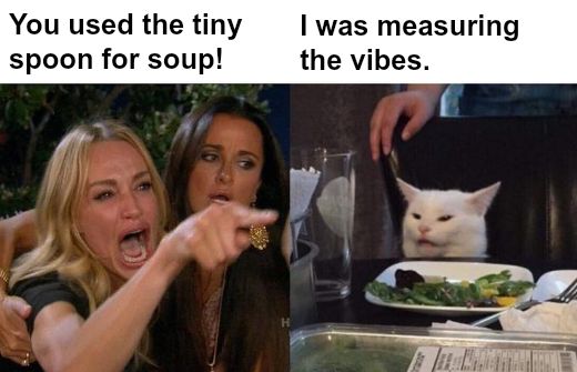 Woman Yelling At Cat meme