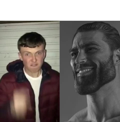 Average Fan vs Average Enjoyer meme template