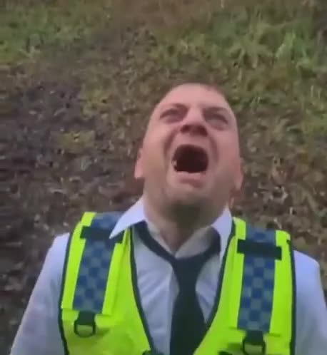 British screaming cop meme template