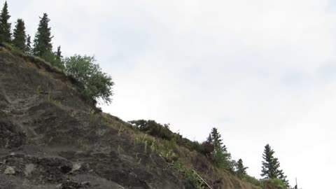Car drives off of cliff,(improved) meme template