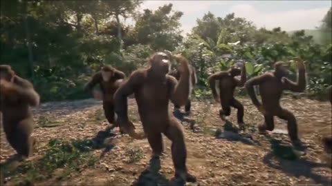 Dancing monkeys meme template