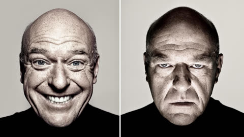 Dean Norris's reaction meme template
